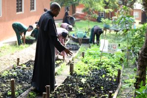 Sustainable Environment Management